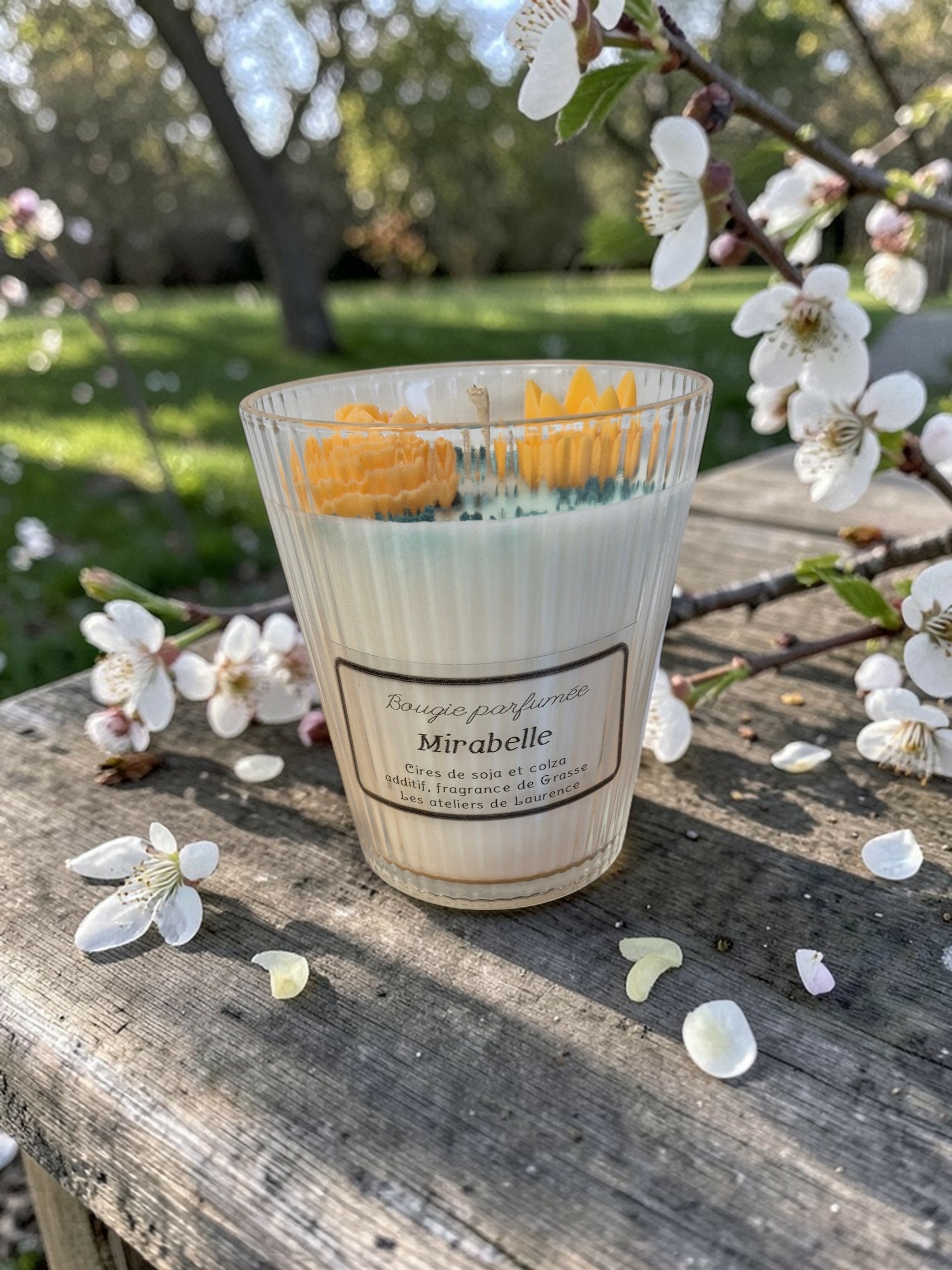 MIRABELLEB1