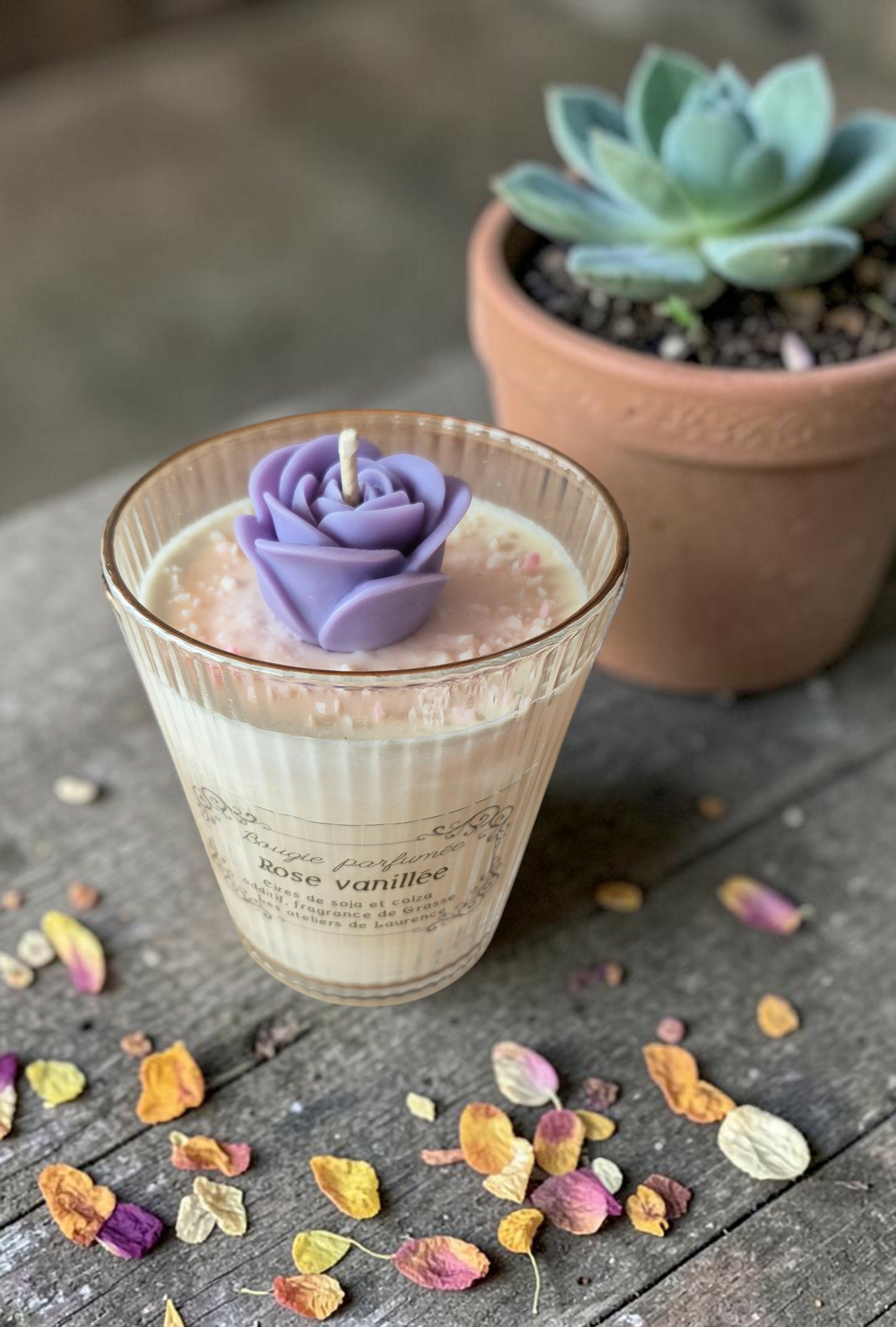 HORTENSE ROSE VANILLEE 1