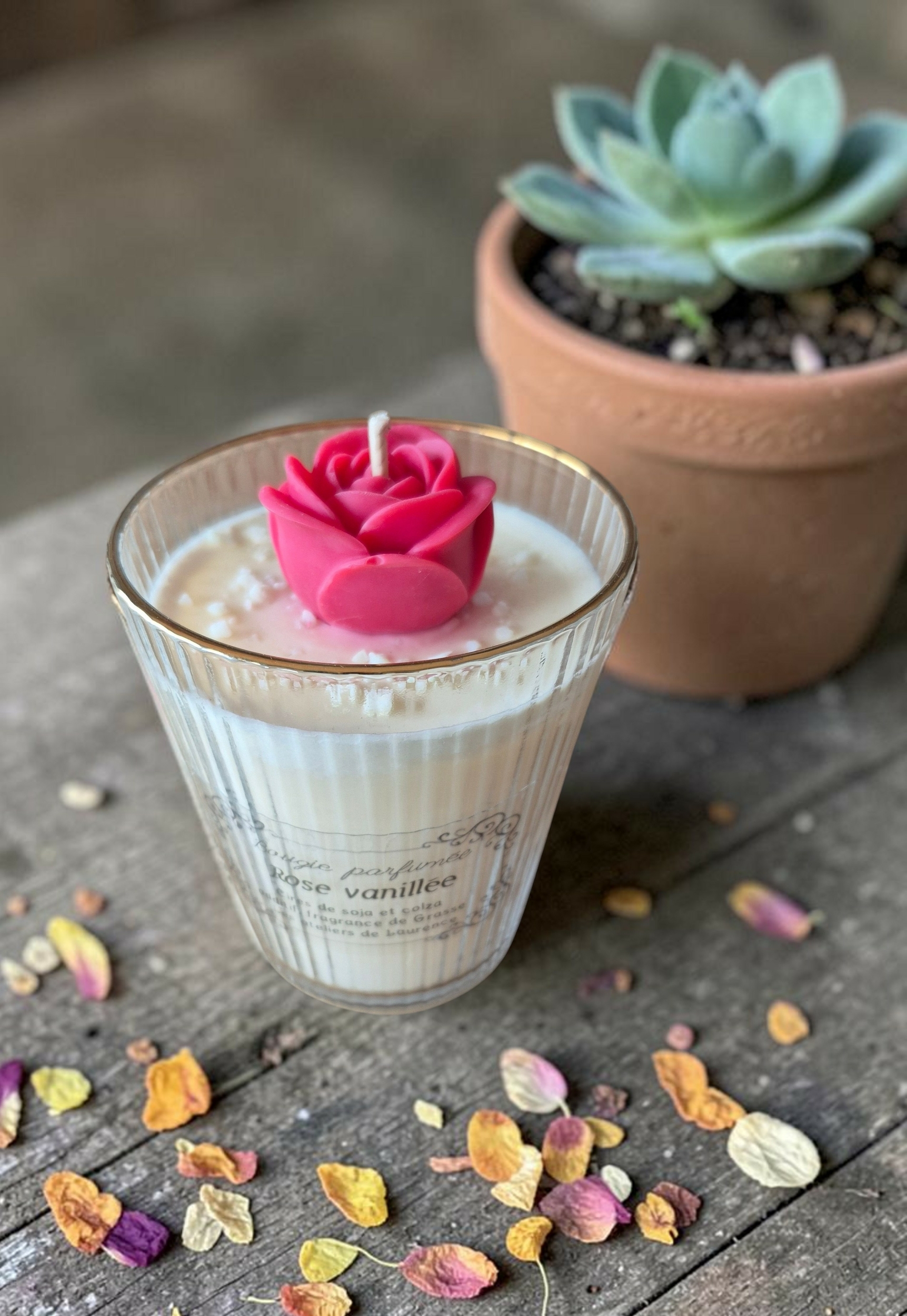 HORTENSE ROSE VANILLEE 2