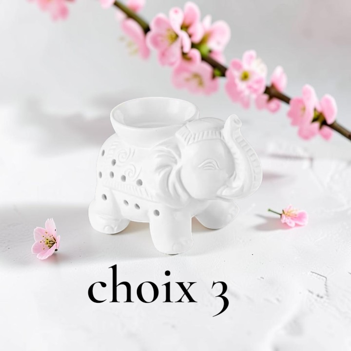 BRULEUR CHOIX 3