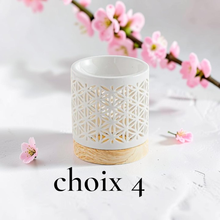 BRULEUR CHOIX 4