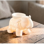 ELEPHANT 1