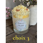 choix 3 mirabelle (1)