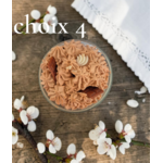 choix 4 COOKIES 2