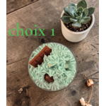 CHOIX 1 PISTACHE 2