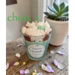 CHOIX 2 PISTACHE