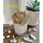 CHOIX 3 PISTACHE