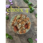 CHOIX 4 PISTACHE 2