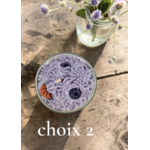 CHOIX 2 MYRTILLES 2