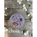 CHOIX 4 MYRTILLES 2