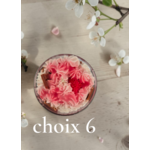 CHOIX 6 FRAISES (1)