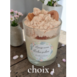 CHOIX 1 ROCHER