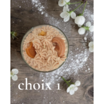 CHOIX 1 ROCHER (1)
