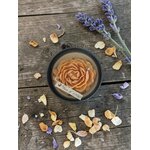 FLEUR EPICES (1)