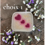 PETIT JARDIN CHOIX 1 (1)
