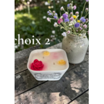 PETIT JARDIN CHOIX 2 (1)