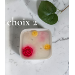 PETIT JARDIN CHOIX 2