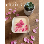 PETIT JARDIN CHOIX 3
