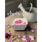 PETIT JARDIN CHOIX 3 (1)