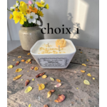 PETIT JARDIN HIBISCUS CHOIX 1 (1)
