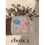 PETIT JARDIN CHOIX 2