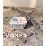 PETIT JARDIN CHOIX 2 (1)