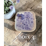 PETIT JARDIN CHOIX 3