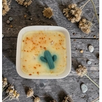 PETIT JARDIN FRANGIPANIER (1)