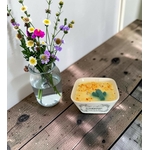 PETIT JARDIN FRANGIPANIER