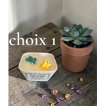 PETIT JARDIN TIARE 1 (1)