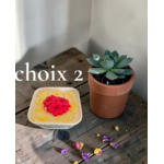PETIT JARDIN TIARE 2