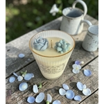 FLEUR DE TIAREB1