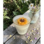 FLEUR DE TIAREF1