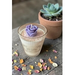 HORTENSE ROSE VANILLEE 1