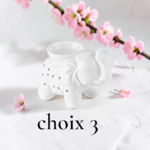 BRULEUR CHOIX 3