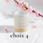 BRULEUR CHOIX 4