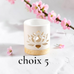 BRULEUR CHOIX 5