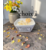 PETIT JARDIN HIBISCUS CHOIX 1 (1)