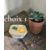 PETIT JARDIN TIARE 1 (1)