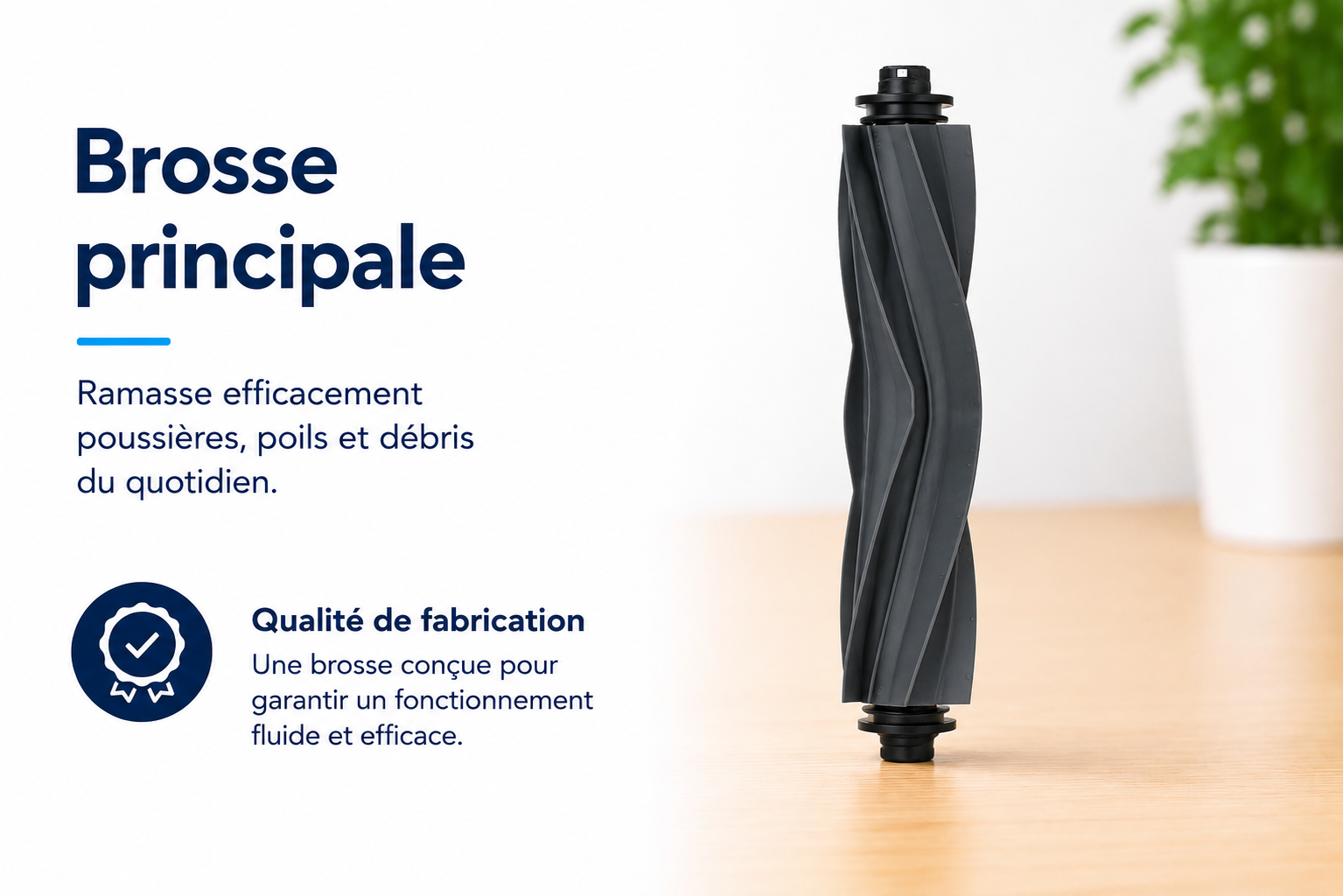 brosse-princiaple-compatible-mova-type-2