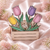 tulipe sans perso