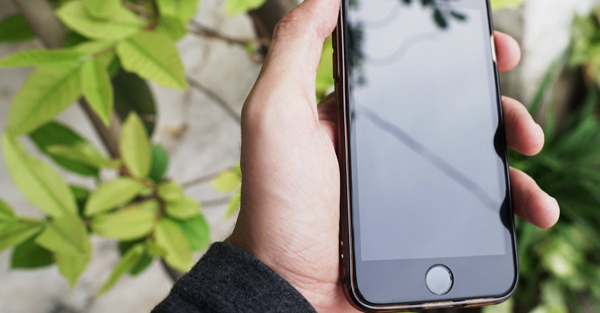 a hand holding a smartphone against a background of green leaves capturing a modern lifestyle moment