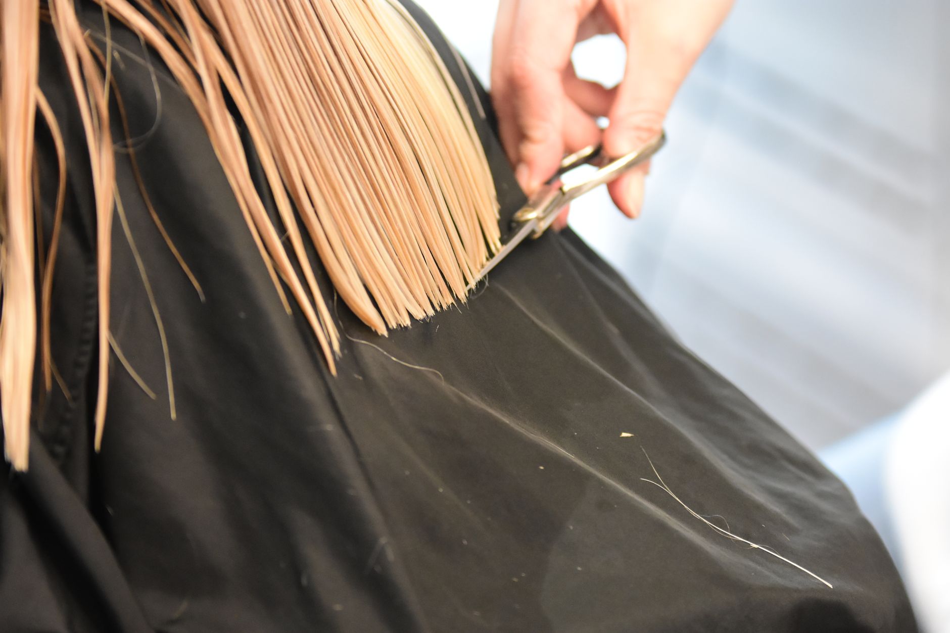 photos gratuites de artiste de cheveux beaute blond