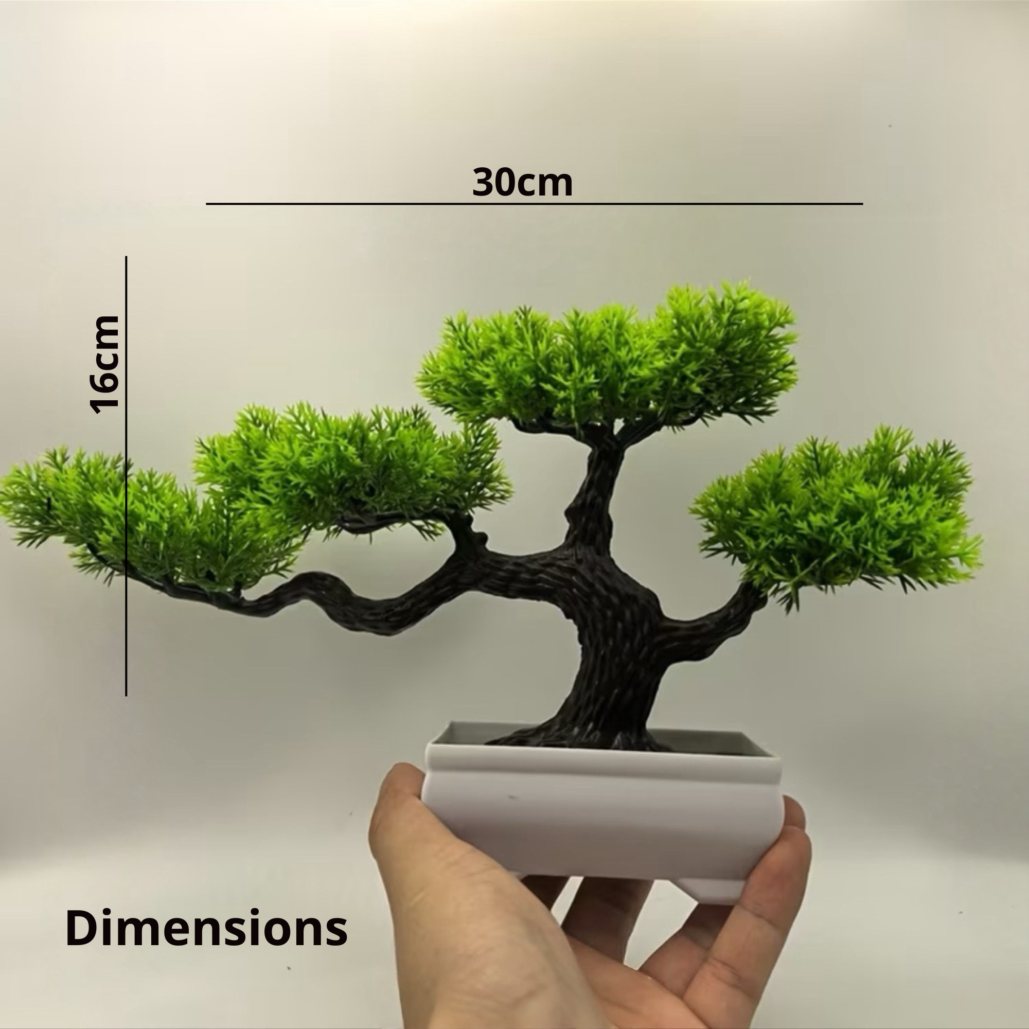 Dimensions (15)