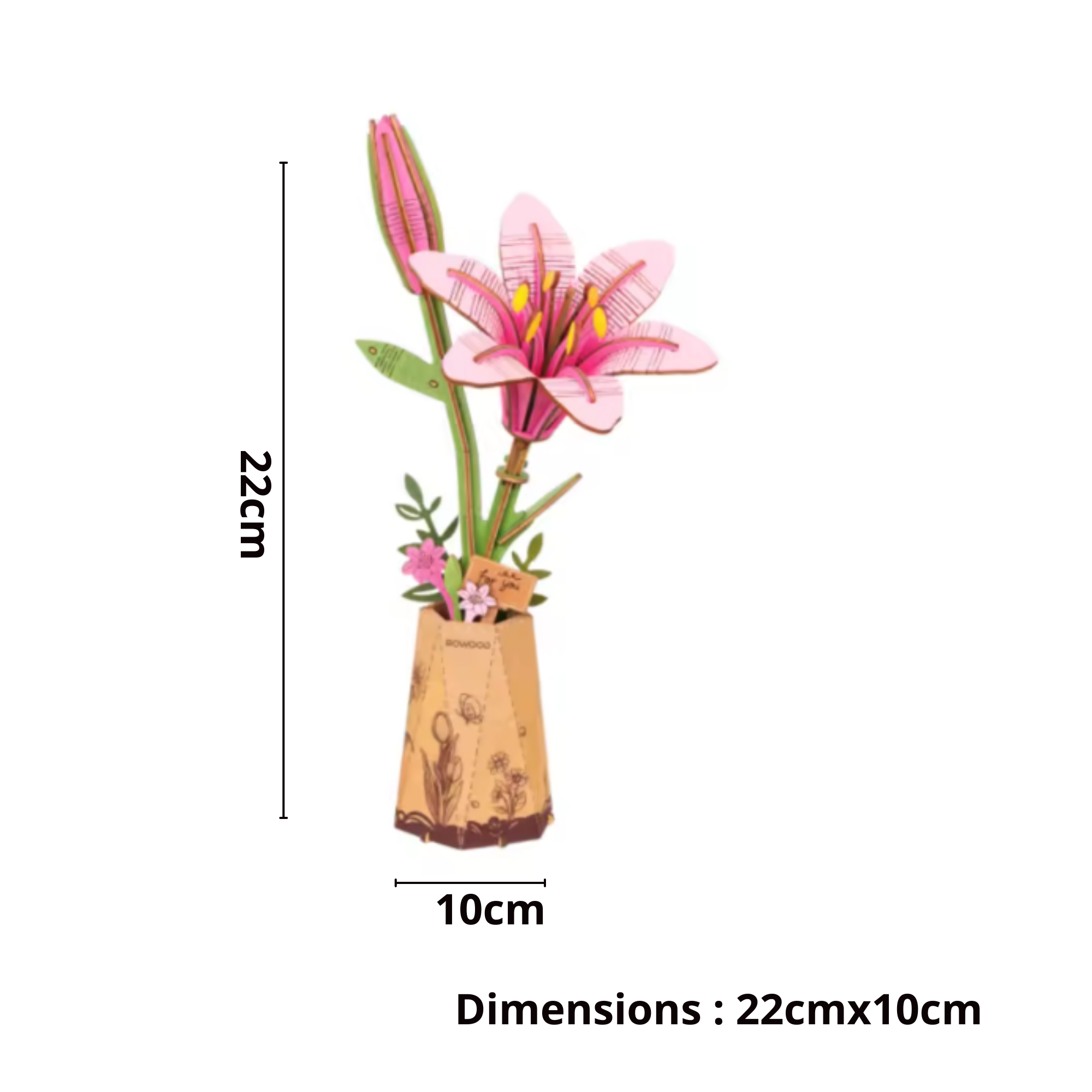 dimensions (45)