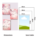 Dimensions (3)
