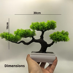 Dimensions (15)