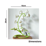Dimensions (22)