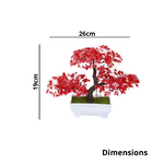 Dimensions (43)
