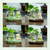 ZENPLAY Base produits Kit (13)